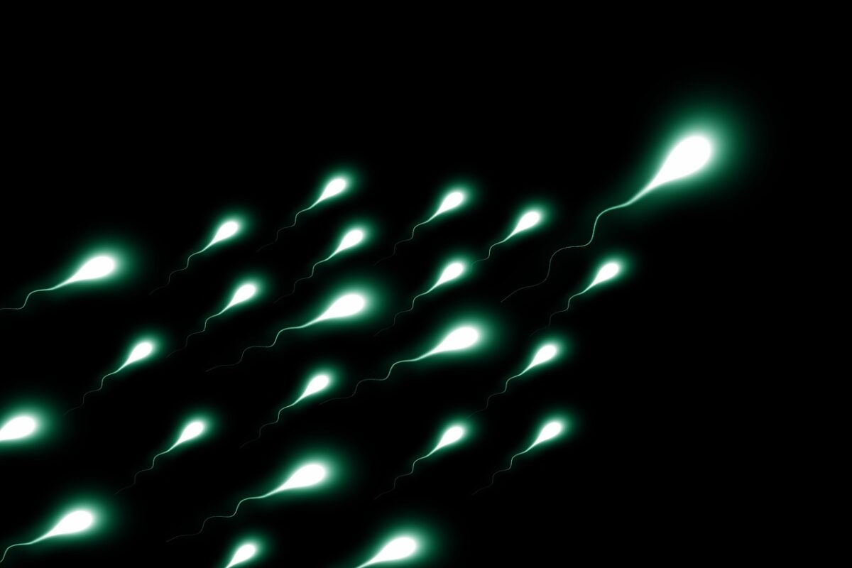 El Parásito Silencioso Que Podría Estar Destruyendo los Espermatozoides Humanos
