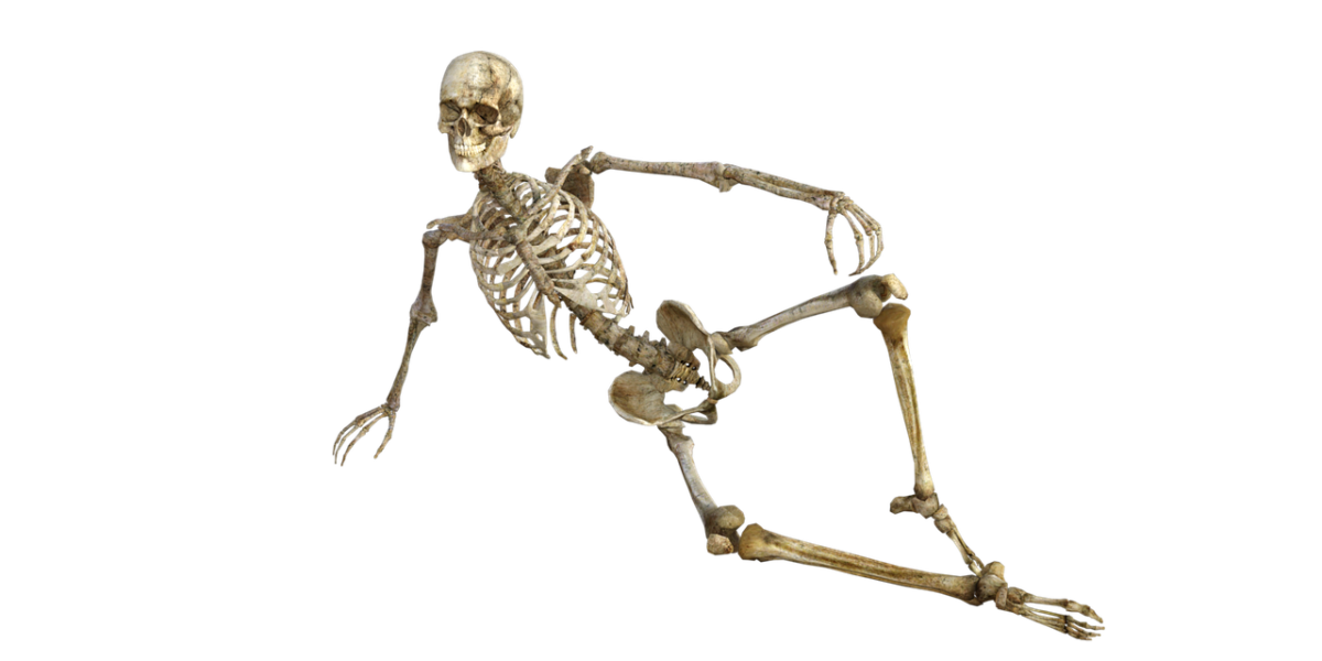 Osteoporosis: Causas, síntomas y cómo prevenirla