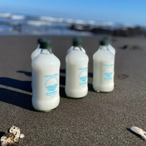 382277883 807048158091267 6492652311007306379 n.jpg