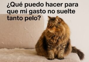 Ffccd9c0 48e4 41bc a532 5a92b9aa01bb