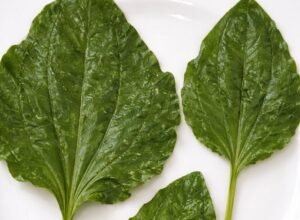 Abb2e758 9e3a 408d b4aa b73c191835ad md