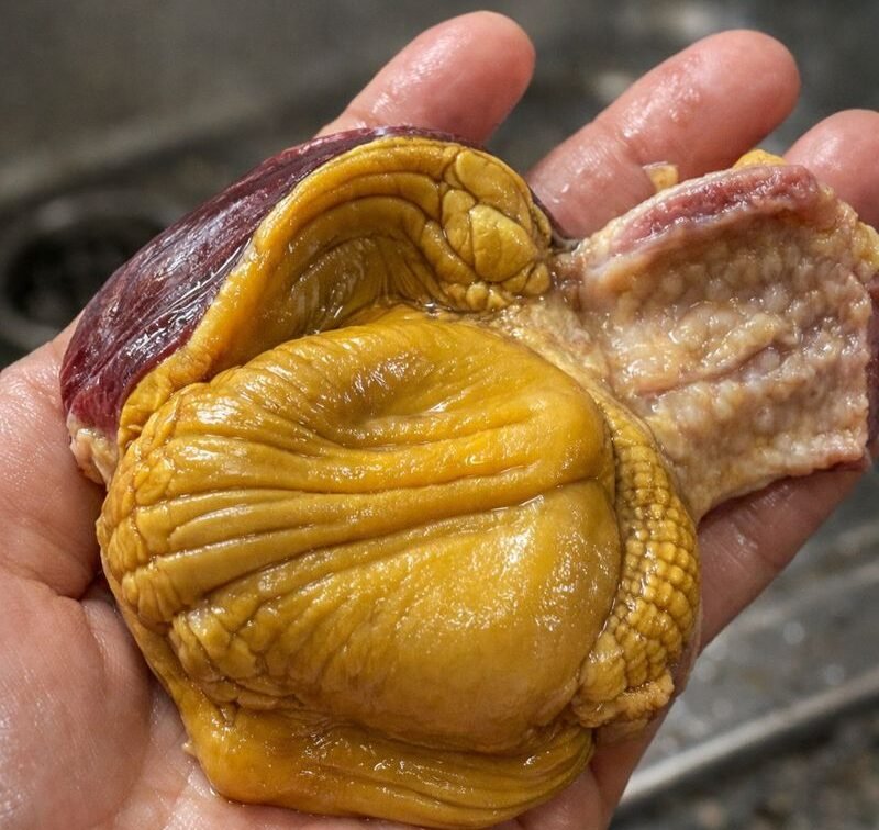 Molleja de gallina de campo para decirle adiós a la bebida: mito, origen y lo que sí ayuda de verdad