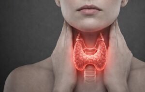 83ed9343 3f2b 40d0 95fa 1dadc6db2298