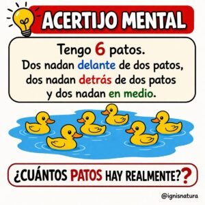 31360717 408f 4c69 baf3 f130365b6fd9