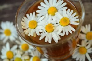Chamomile 829220