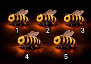 test-abejas-desafio visual