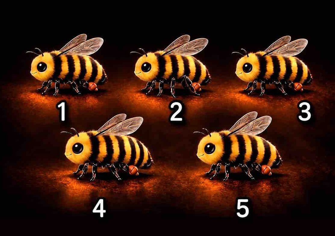 Elige la abeja diferente: El test visual que revela qué tan observador eres