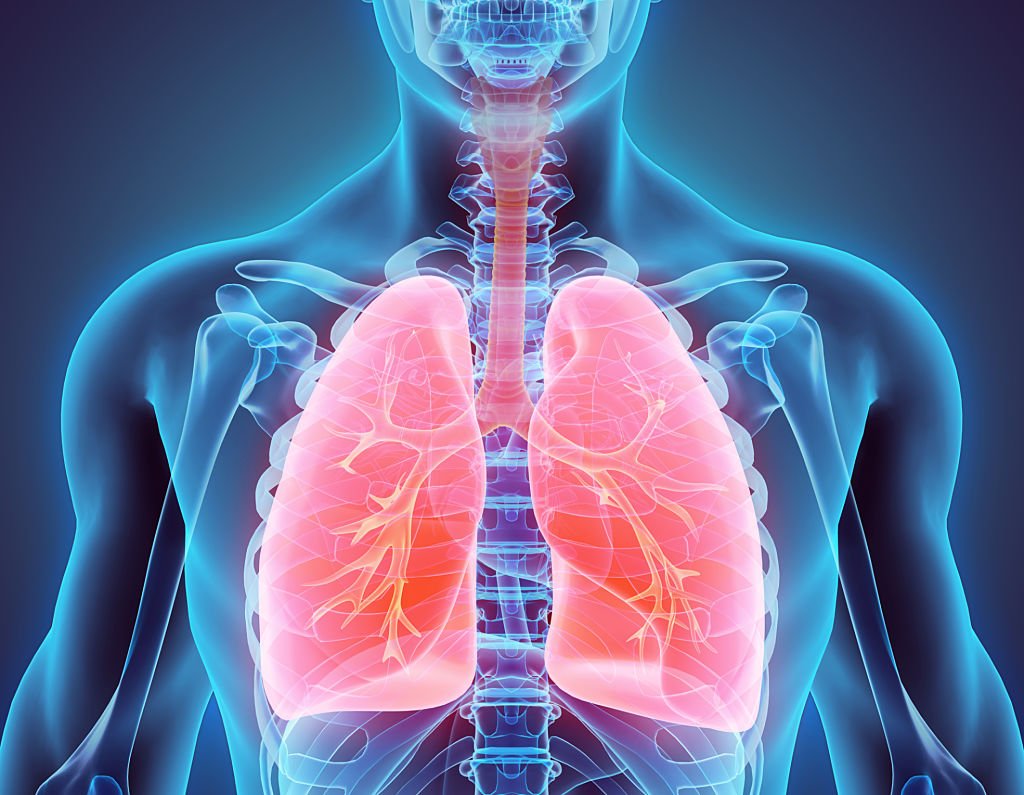 Limpia y Fortalece tus Pulmones con Infusiones Naturales 