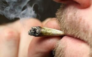 El síndrome de hiperémesis cannabinoide: la desconocida condición que puede provocar vómitos intensos en consumidores diarios de cannabis