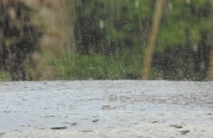 Rain 1503572