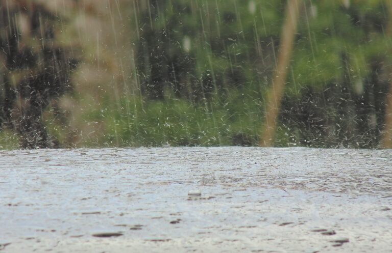 Rain 1503572