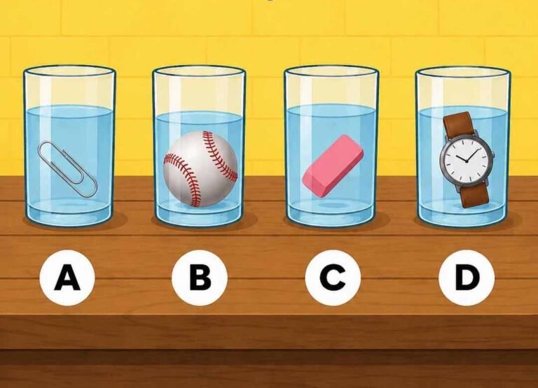¿Qué vaso tiene más agua?