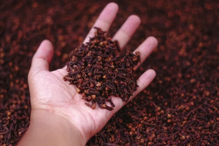 Cloves 6475374